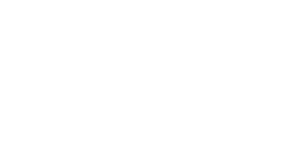 Premier